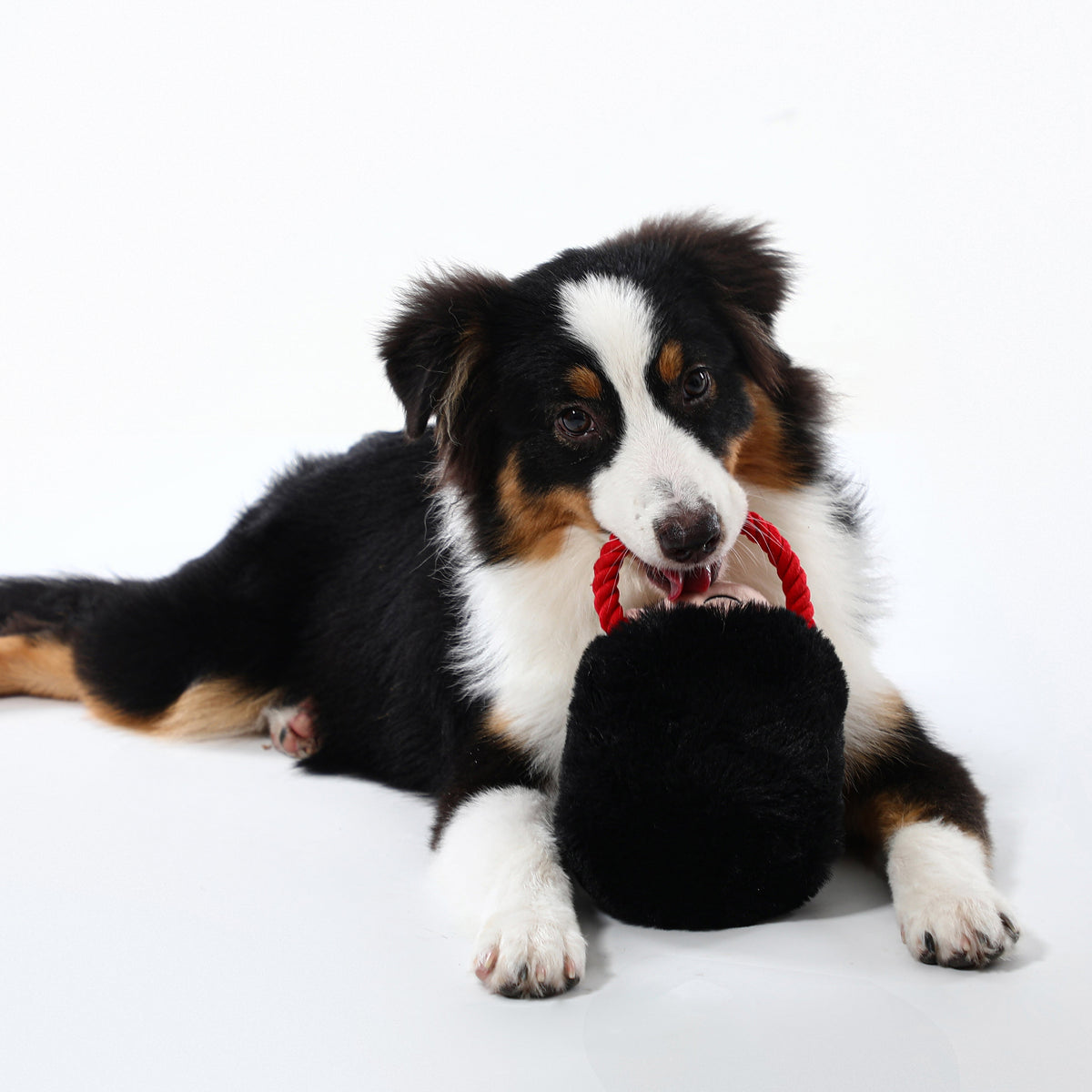 Royal Defender Chew Toy