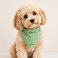 Greenwich Pups Dog Bandana