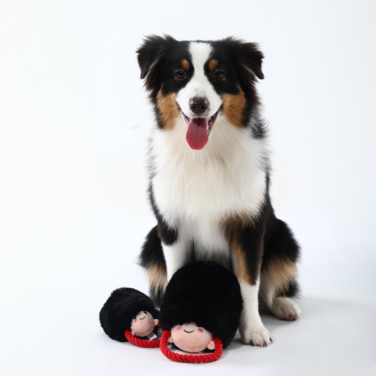 Royal Defender Chew Toy