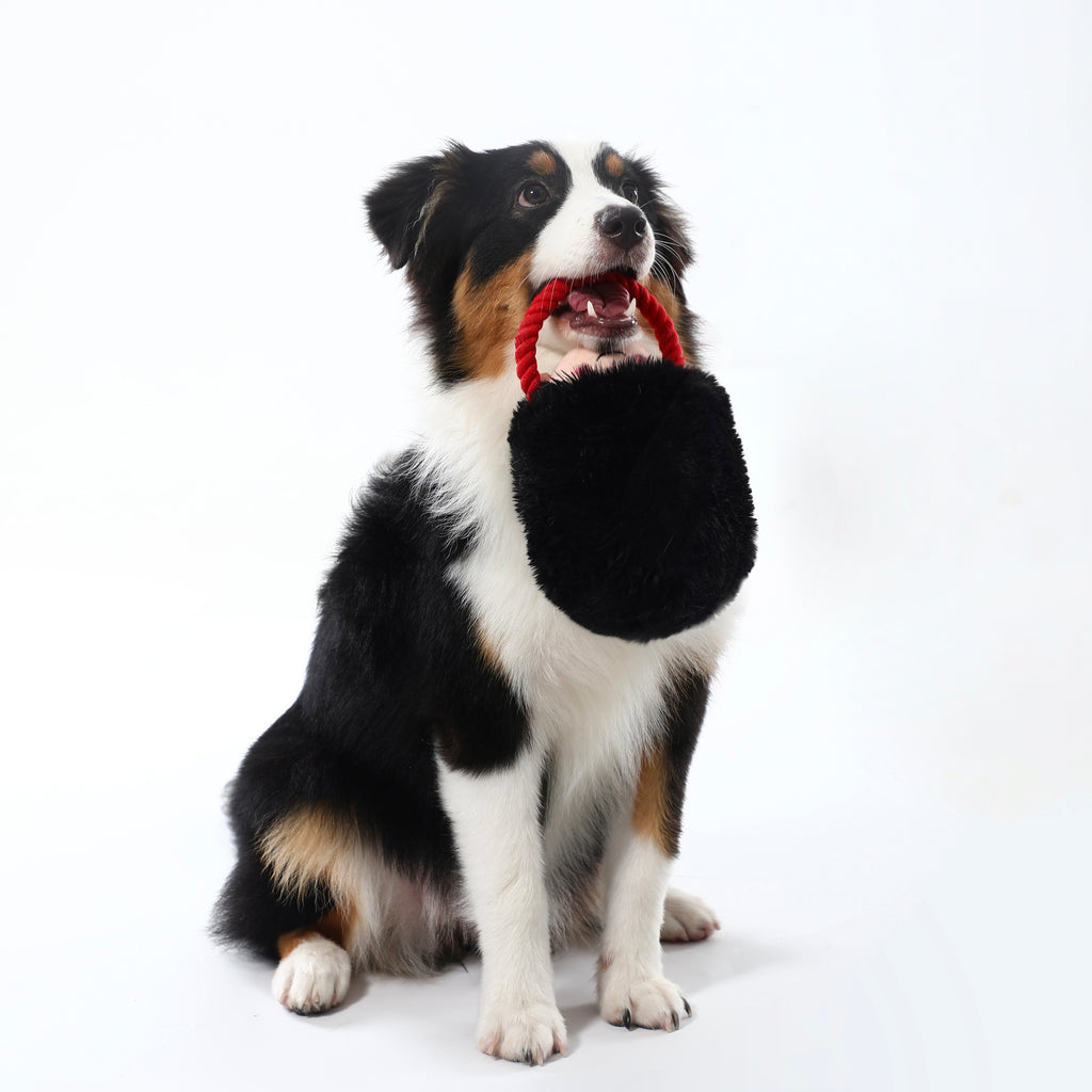 Royal Defender Chew Toy