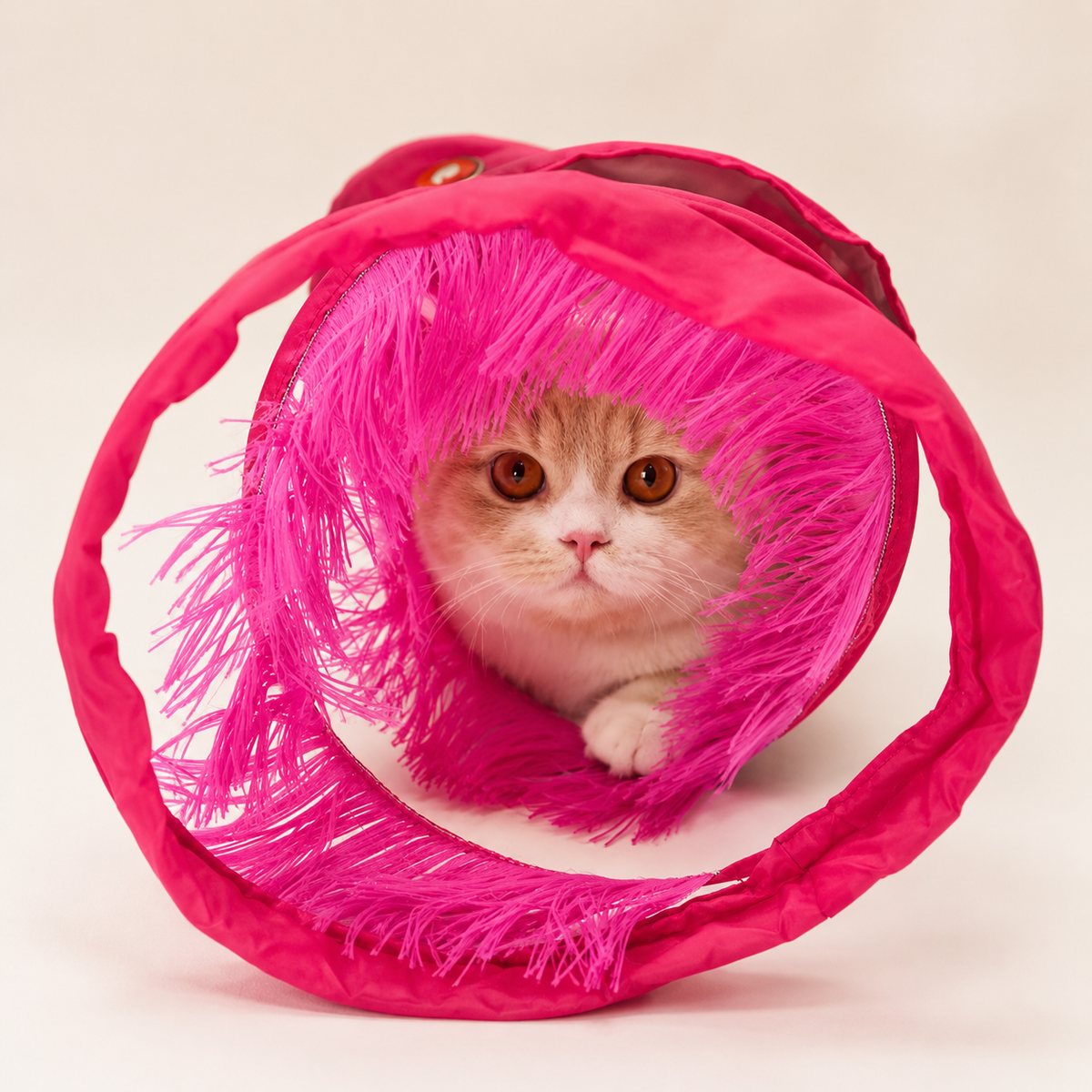 Interactive Cat Tunnel