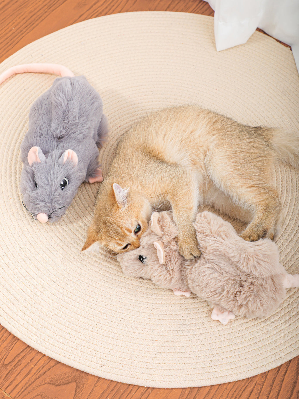 Snuffle Mouse Enrichment Toy
