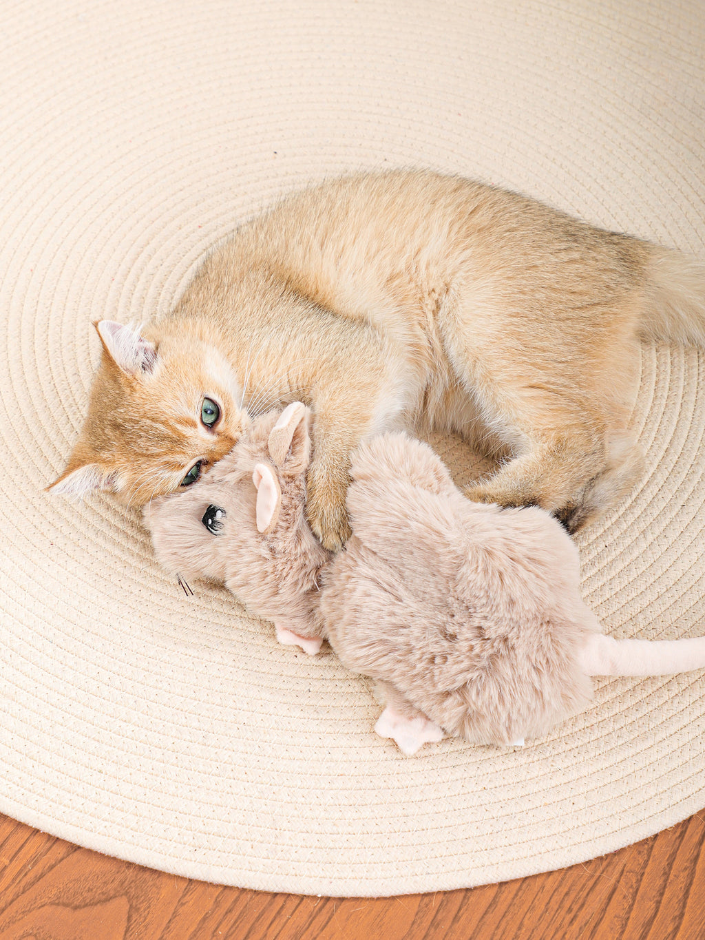 Snuffle Mouse Enrichment Toy
