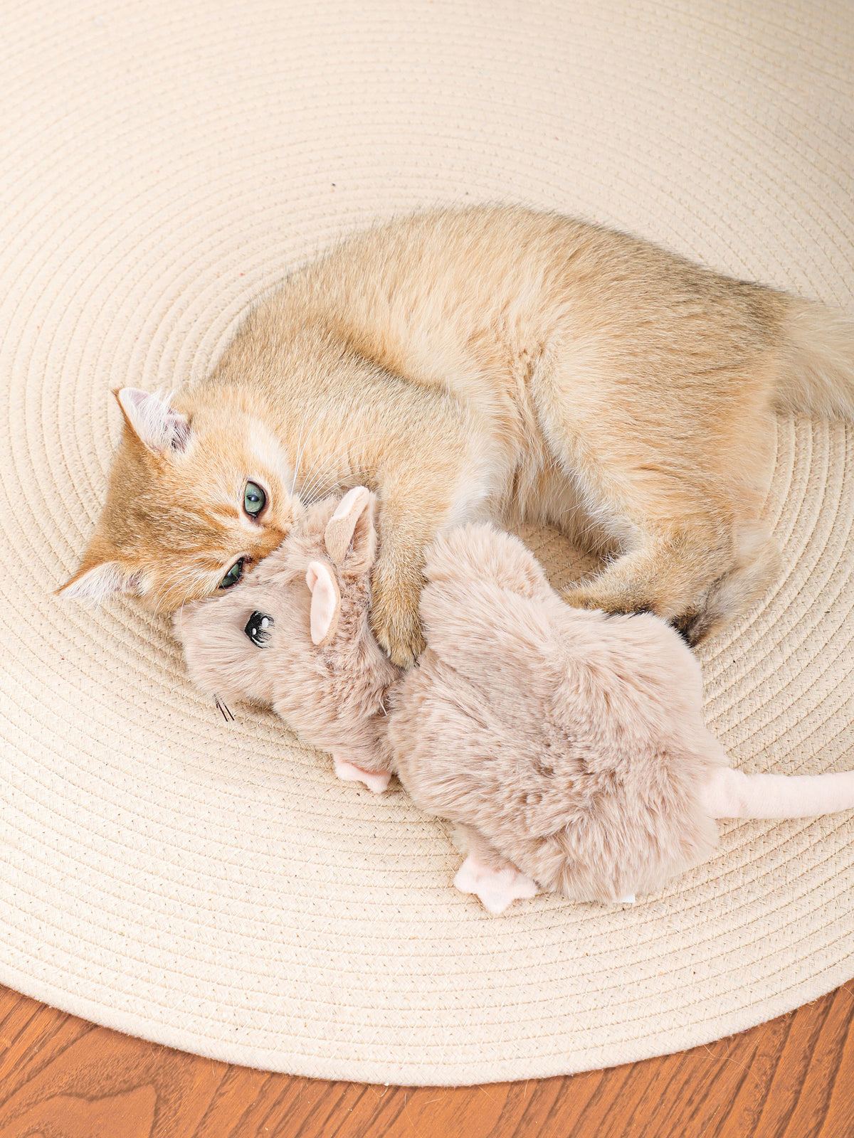 Snuffle Mouse Enrichment Toy