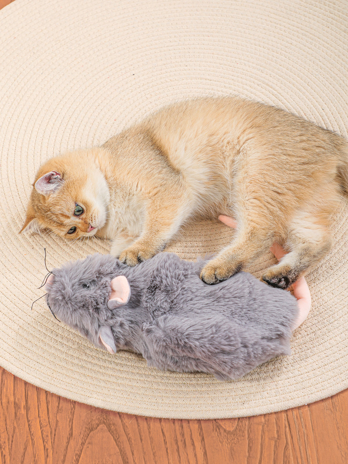 Snuffle Mouse Enrichment Toy