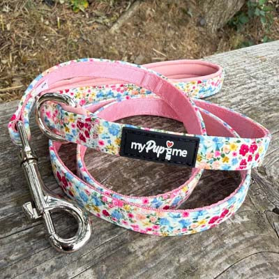 Blue Meadow Floral Dog Harness