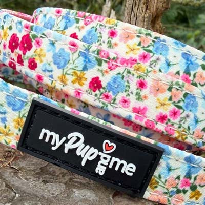 Blue Meadow Floral Dog Harness