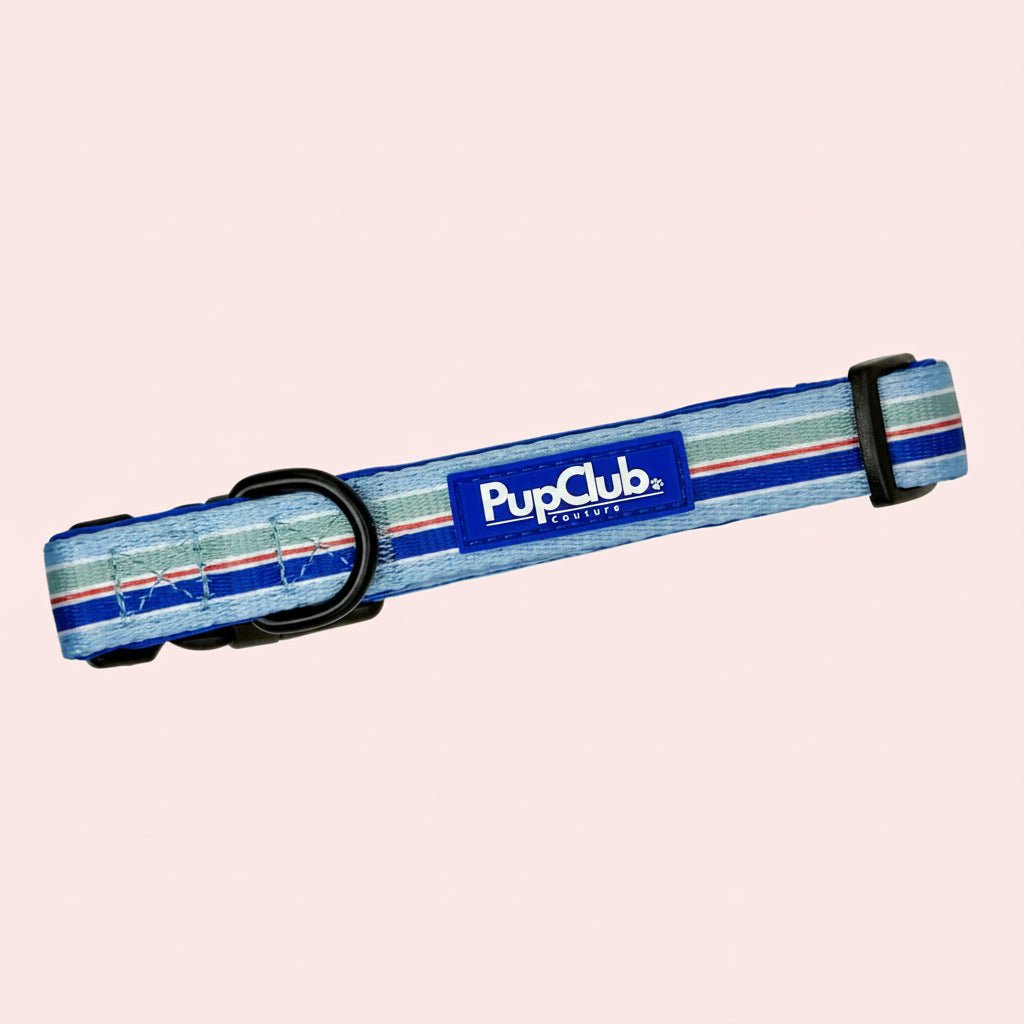Sea Breeze Stripes Dog Collar