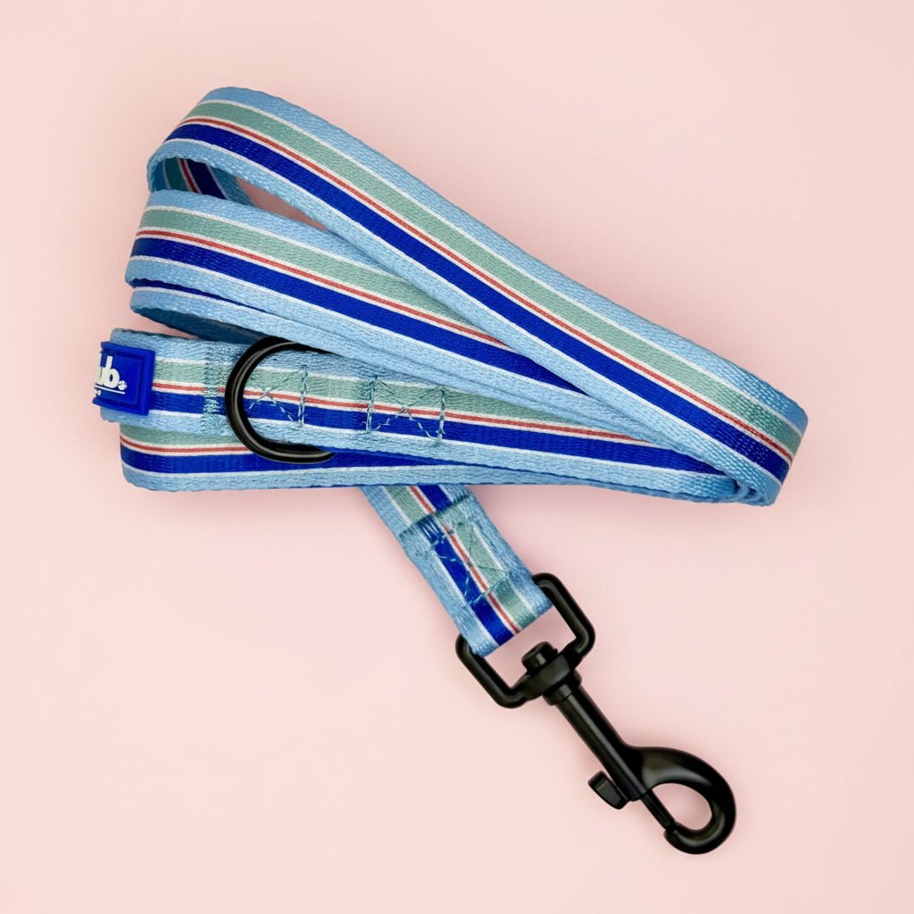 Sea Breeze Stripes Dog Lead