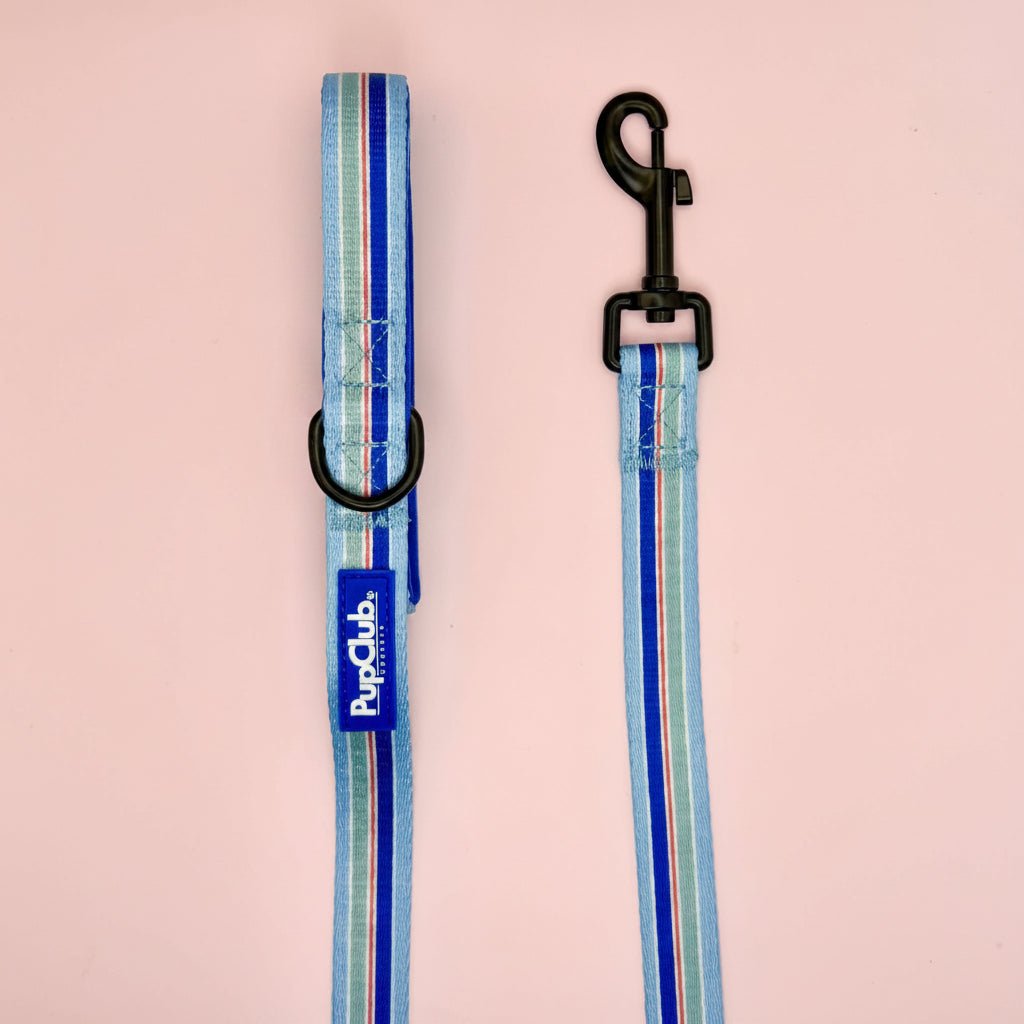 Sea Breeze Stripes Dog Lead