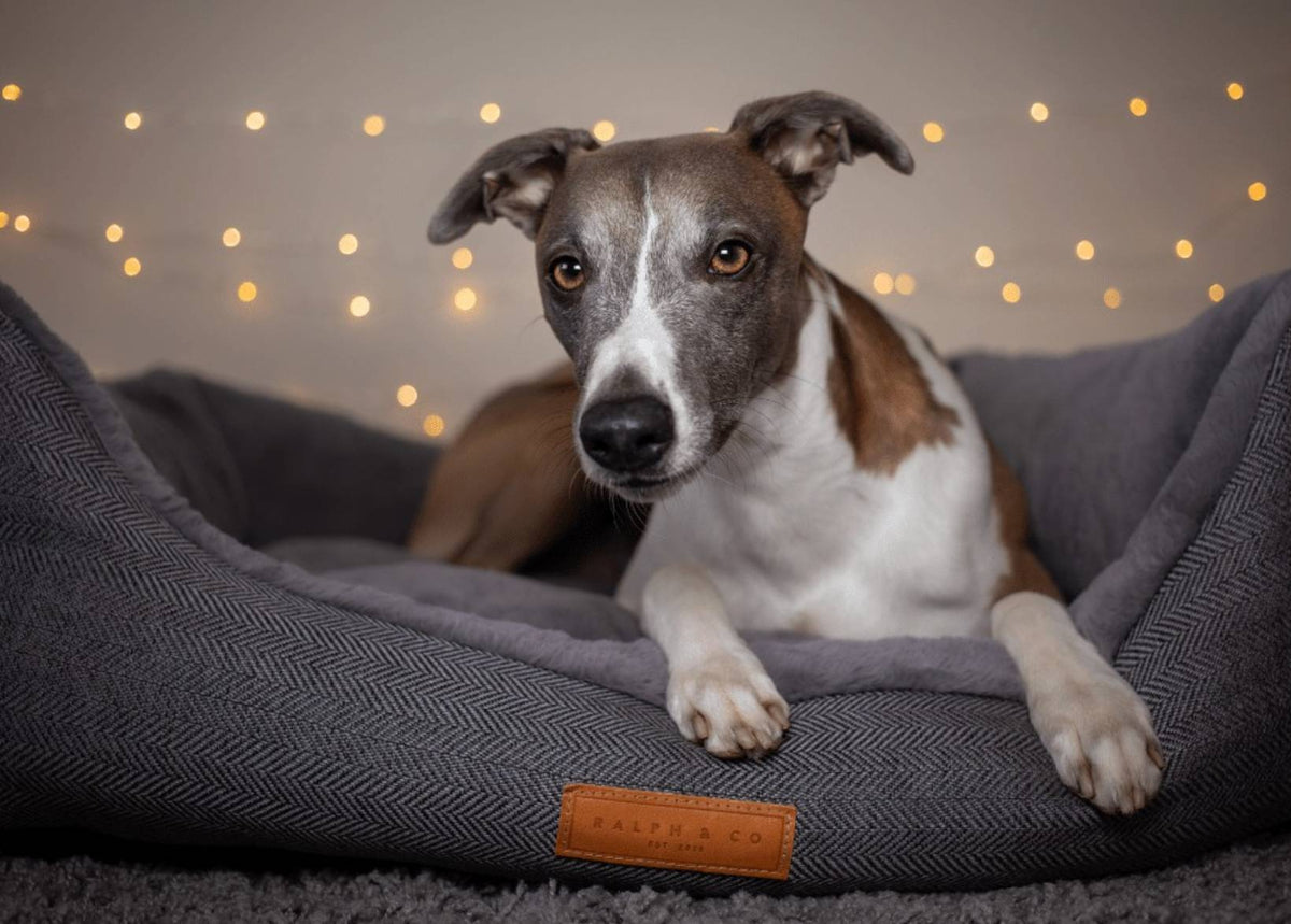 Balmoral Herringbone Bolster Dog Bed