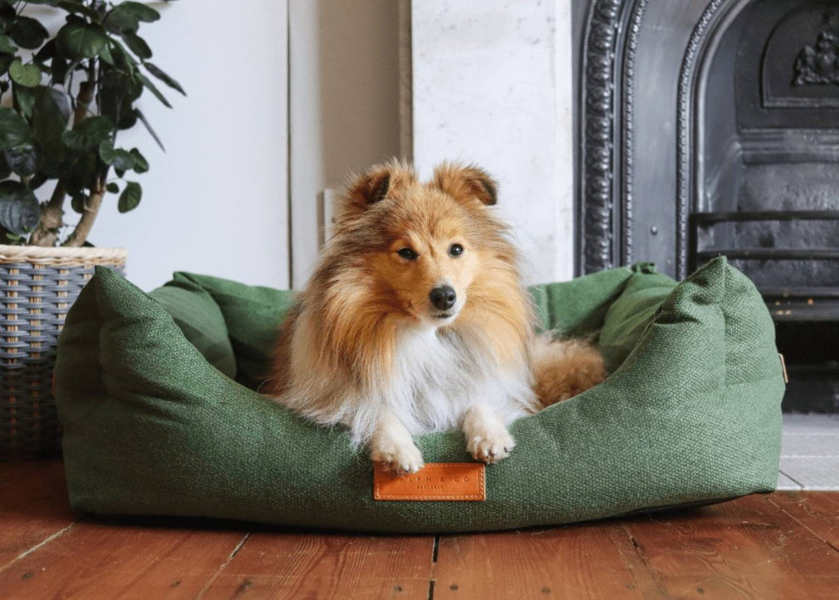 Richmond Green Bolster Dog Bed