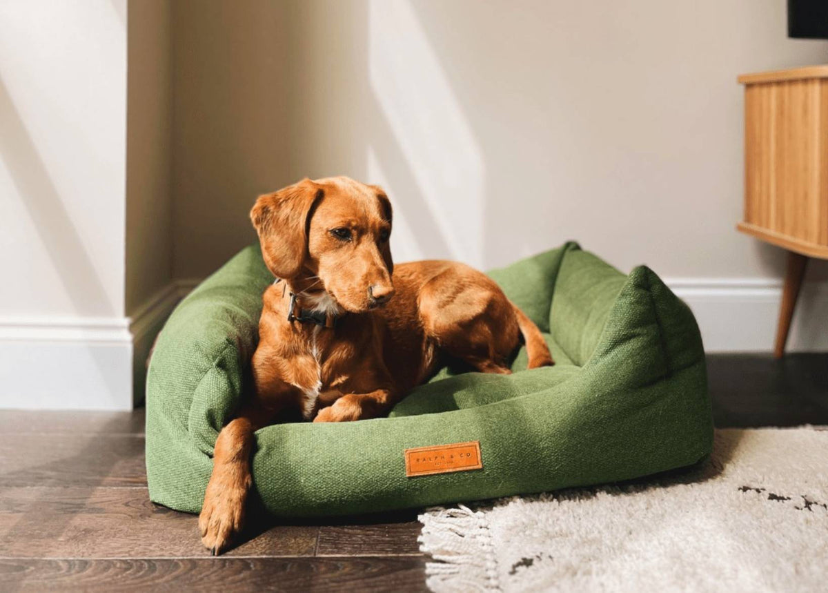 Richmond Green Bolster Dog Bed