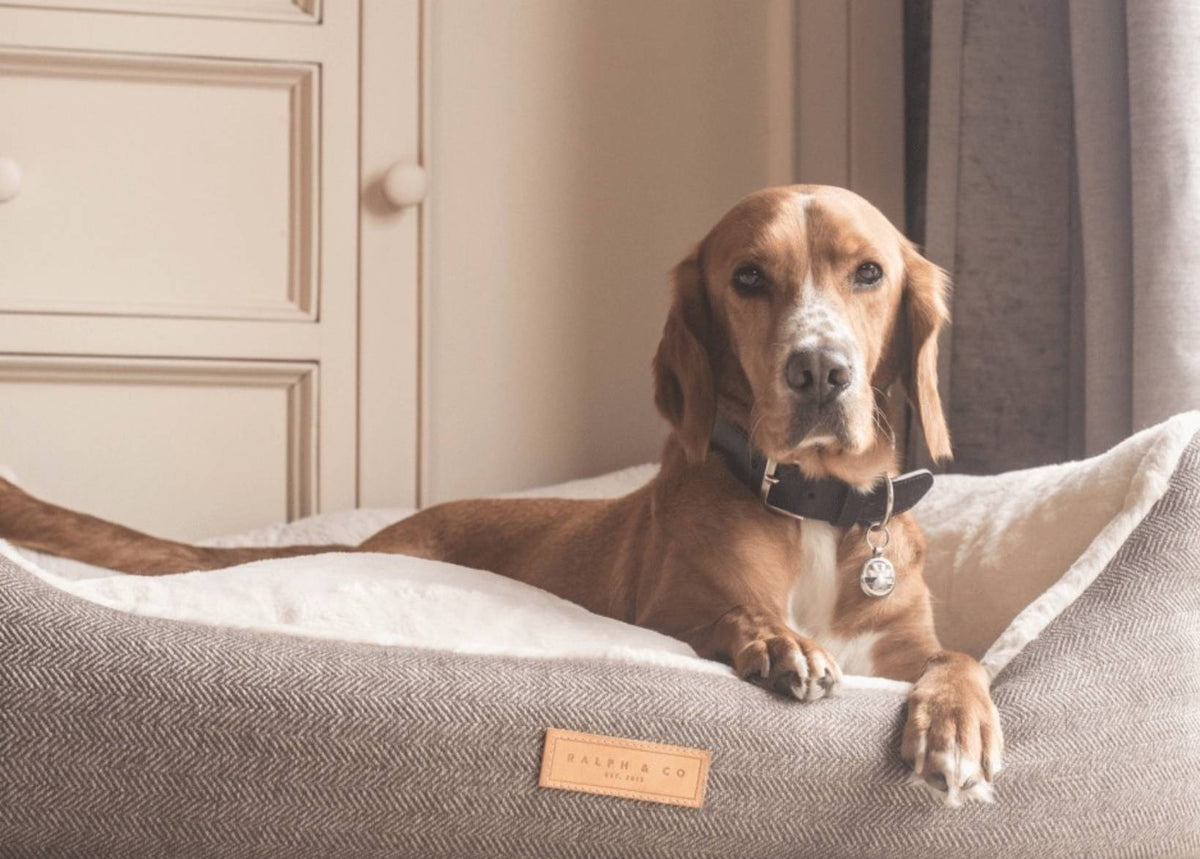 Lincoln Tweed Bolster Dog Bed