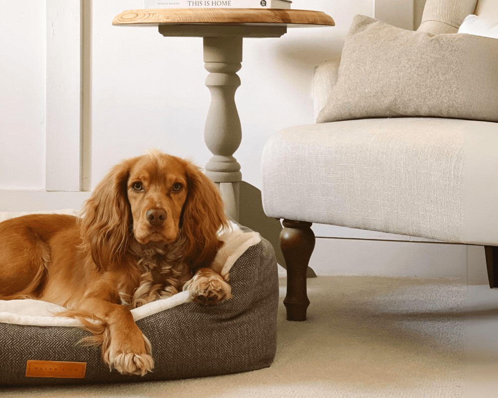 Lincoln Tweed Bolster Dog Bed