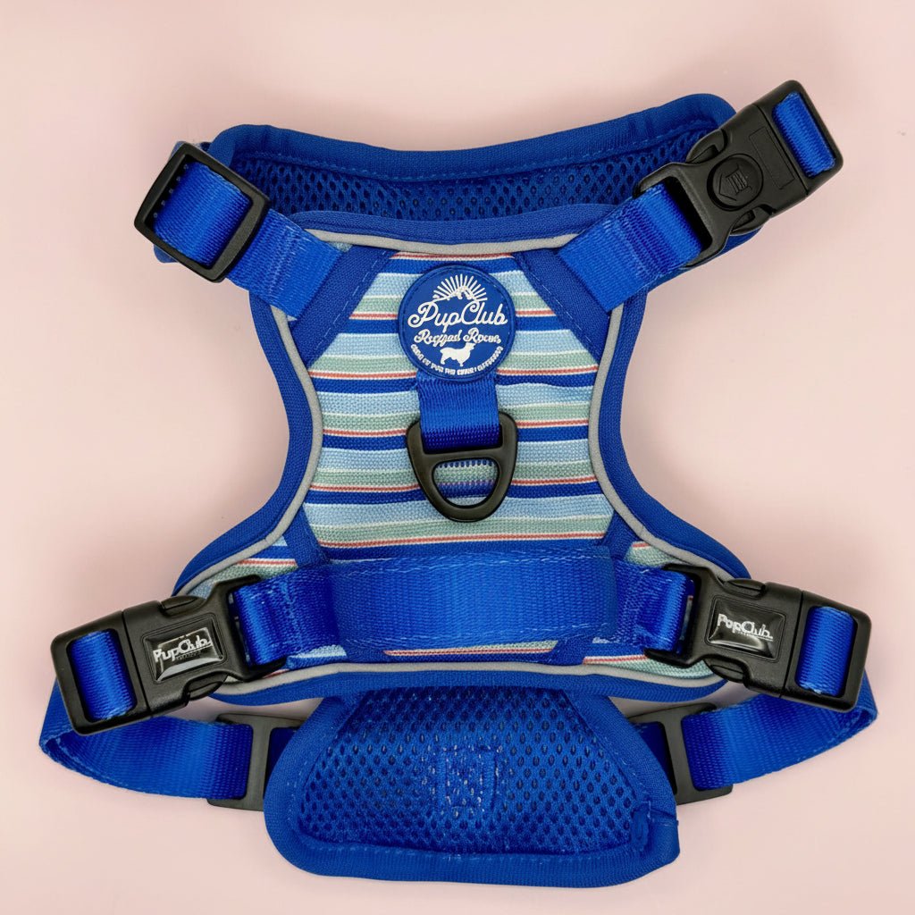 Sea Breeze Stripes Dog Harness