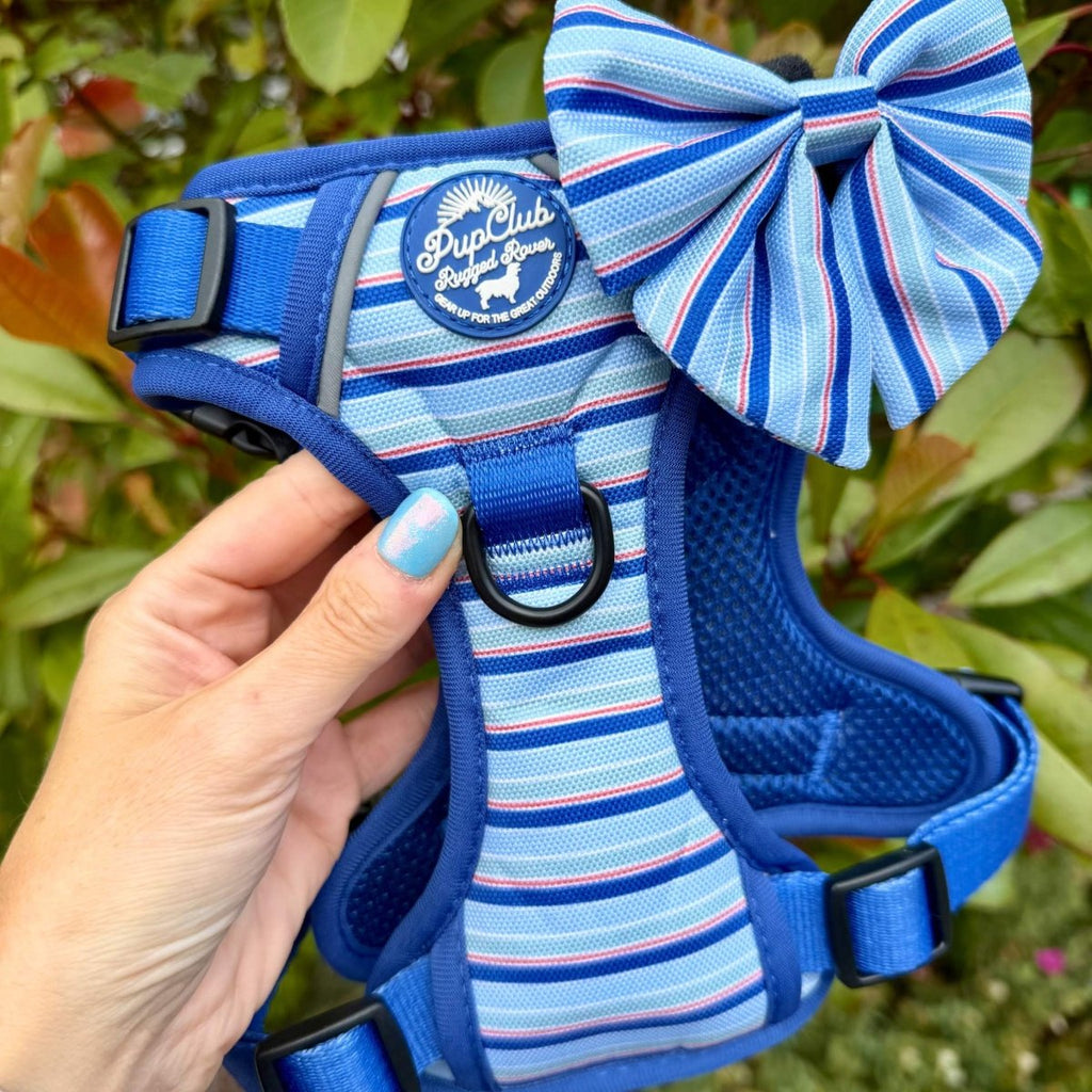Sea Breeze Stripes Dog Harness