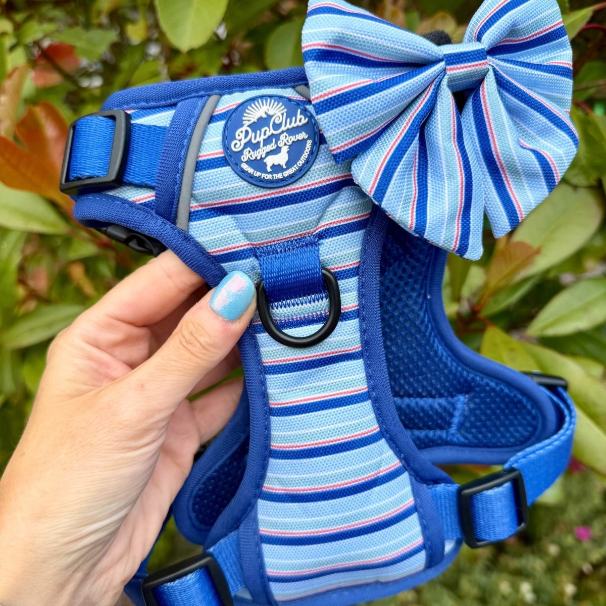 Sea Breeze Stripes Dog Harness
