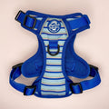 Sea Breeze Stripes Dog Harness