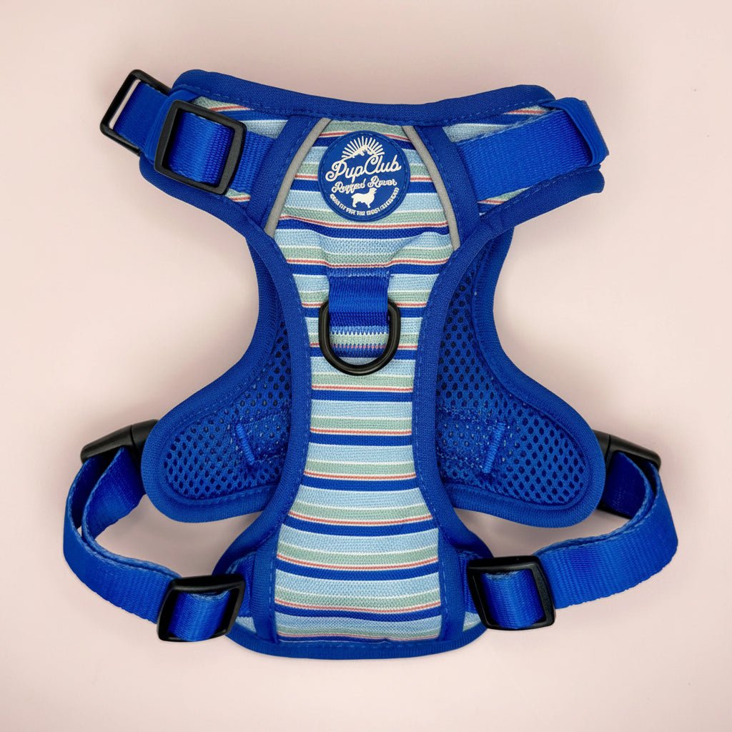 Sea Breeze Stripes Dog Harness