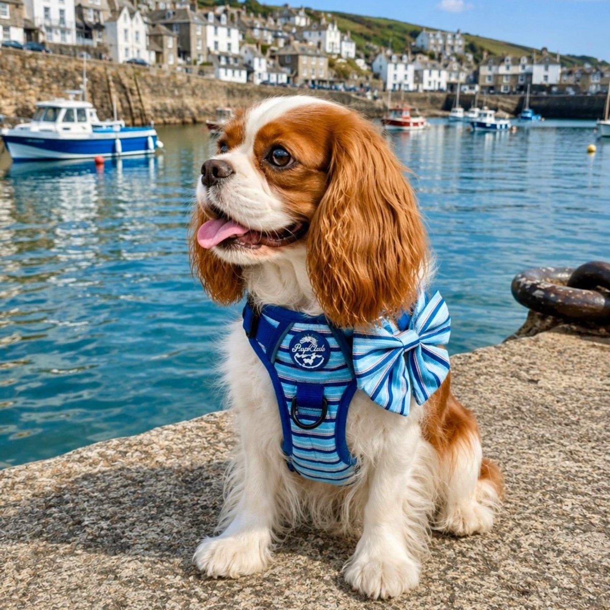 Sea Breeze Stripes Dog Harness