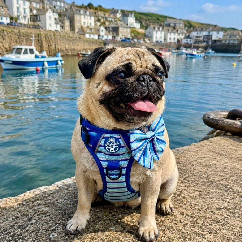 Sea Breeze Stripes Dog Harness